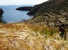 P1010447_m.jpg